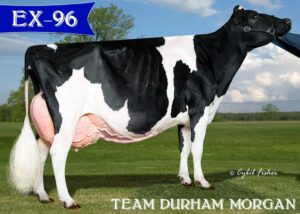 Team Durham Morgan