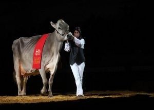 WDE16_SupremeOpen_1M9A0236_2cowsmo2017