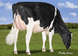 December 2017 - Holstein Canada Top Conformation Sires