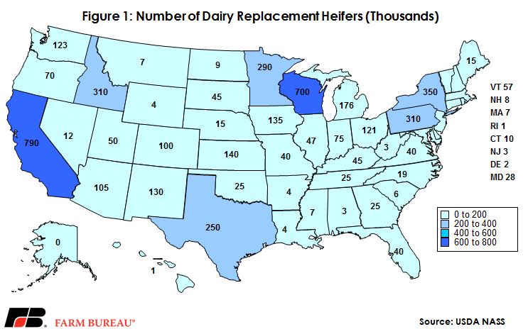 Fig1DairyReplacements