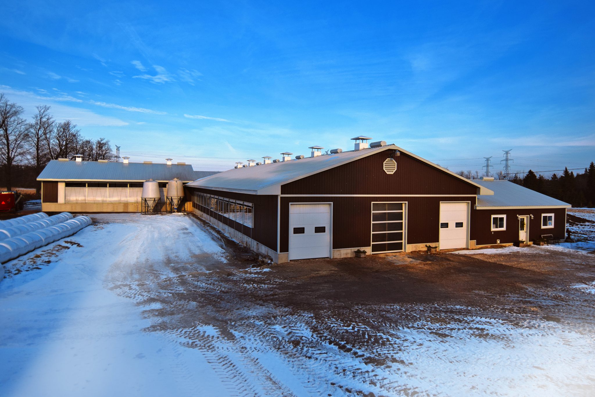 Master Breeder Profile Darwell Holsteins, Ontario Cowsmo