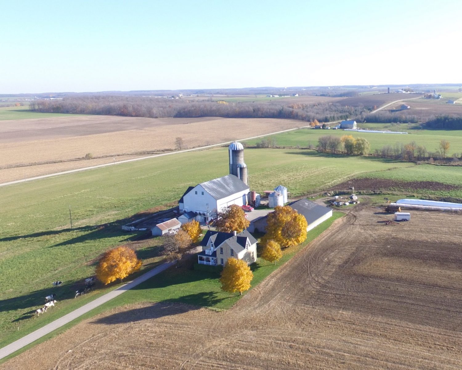 Master Breeder Profile Florbil Holsteins, Ontario Cowsmo