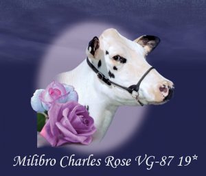 Millibro_WEBPg 2_Rose medaillon