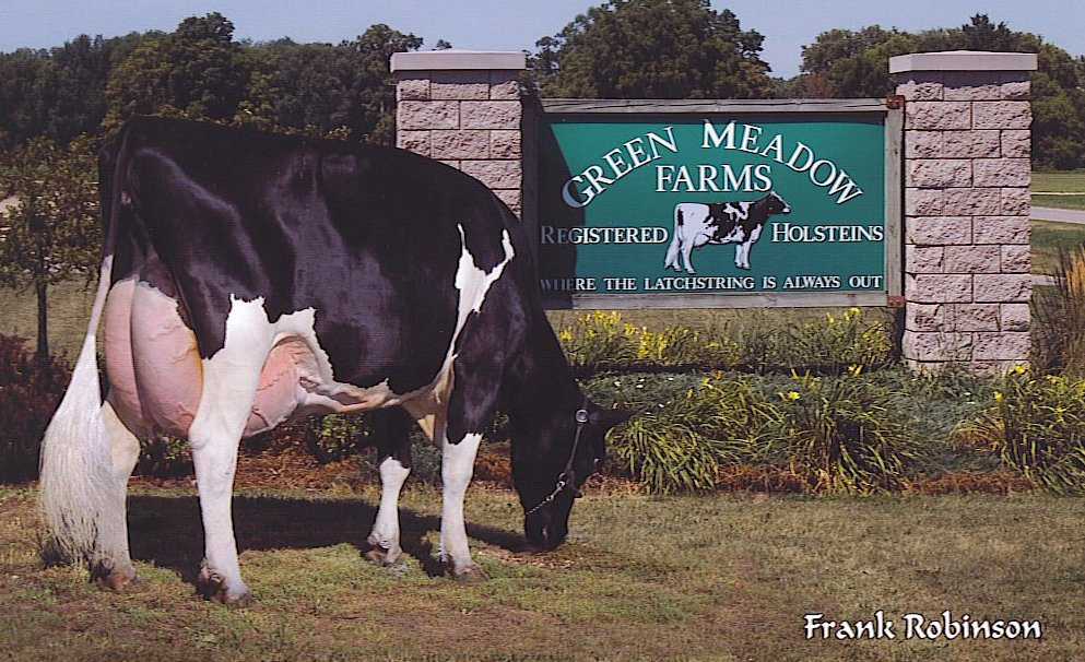 Green Meadow Farms A Lasting Legacy Cowsmo