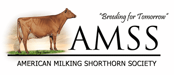 AMSS-Logo_web