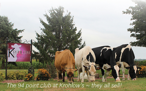 Krohlow Holsteins