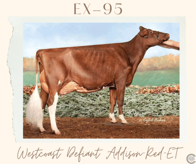 Westcoast Defiant Addison-red-et (1)