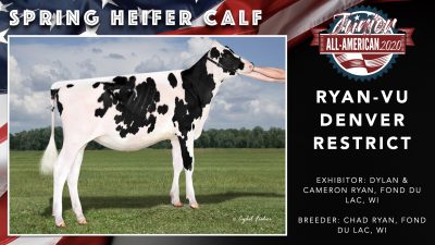 All American Junior Holstein Winners 2020.003