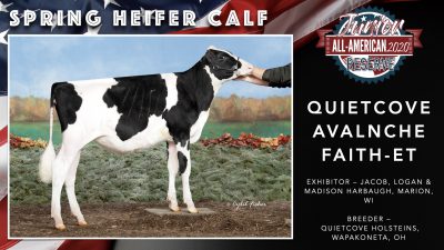 All American Junior Holstein Winners 2020.004
