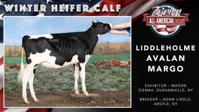 All American Junior Holstein Winners 2020.006