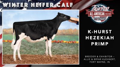 All American Junior Holstein Winners 2020.007