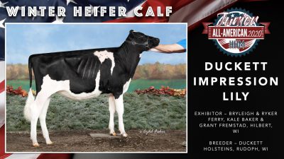 All American Junior Holstein Winners 2020.008
