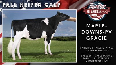 All American Junior Holstein Winners 2020.011