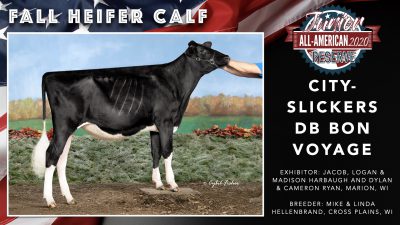 All American Junior Holstein Winners 2020.012