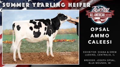 All American Junior Holstein Winners 2020.015