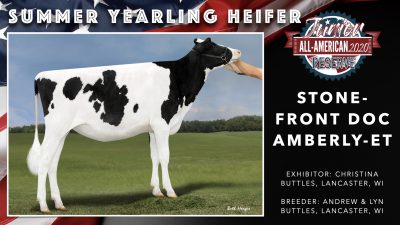 All American Junior Holstein Winners 2020.016