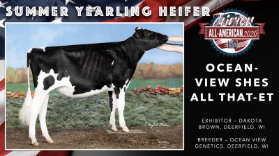 All American Junior Holstein Winners 2020.017