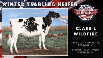 All American Junior Holstein Winners 2020.022
