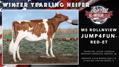 All American Junior Holstein Winners 2020.024