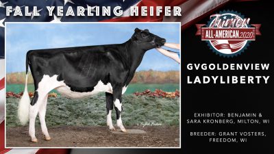 All American Junior Holstein Winners 2020.027