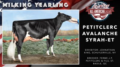 All American Junior Holstein Winners 2020.031
