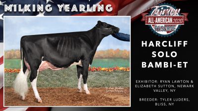 All American Junior Holstein Winners 2020.032