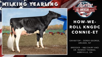 All American Junior Holstein Winners 2020.033