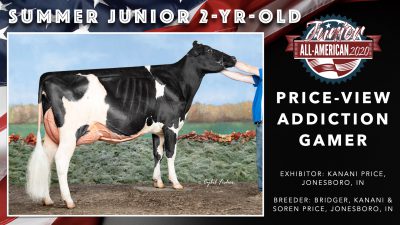 All American Junior Holstein Winners 2020.035