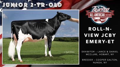 All American Junior Holstein Winners 2020.038