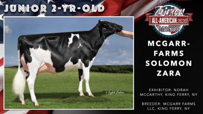 All American Junior Holstein Winners 2020.039