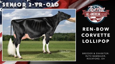 All American Junior Holstein Winners 2020.041