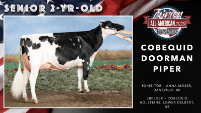 All American Junior Holstein Winners 2020.042