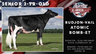 All American Junior Holstein Winners 2020.043