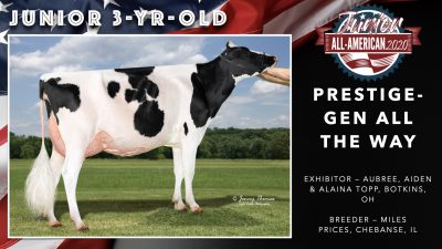 All American Junior Holstein Winners 2020.045