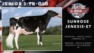 All American Junior Holstein Winners 2020.046