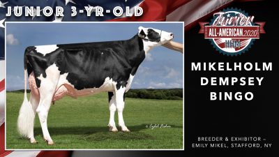 All American Junior Holstein Winners 2020.047