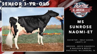 All American Junior Holstein Winners 2020.050