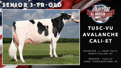 All American Junior Holstein Winners 2020.051
