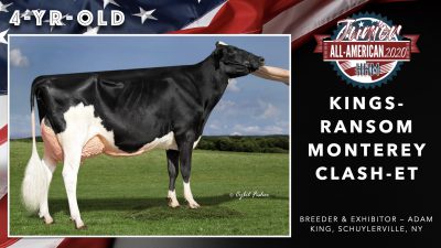 All American Junior Holstein Winners 2020.055