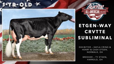 All American Junior Holstein Winners 2020.057