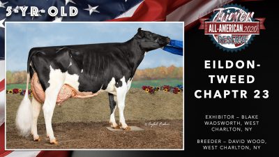 All American Junior Holstein Winners 2020.058