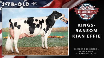 All American Junior Holstein Winners 2020.059