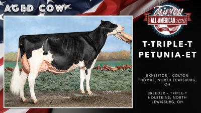 All American Junior Holstein Winners 2020.061