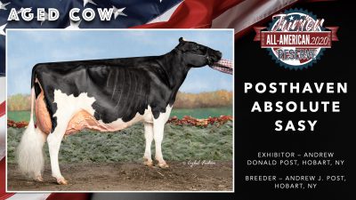 All American Junior Holstein Winners 2020.062