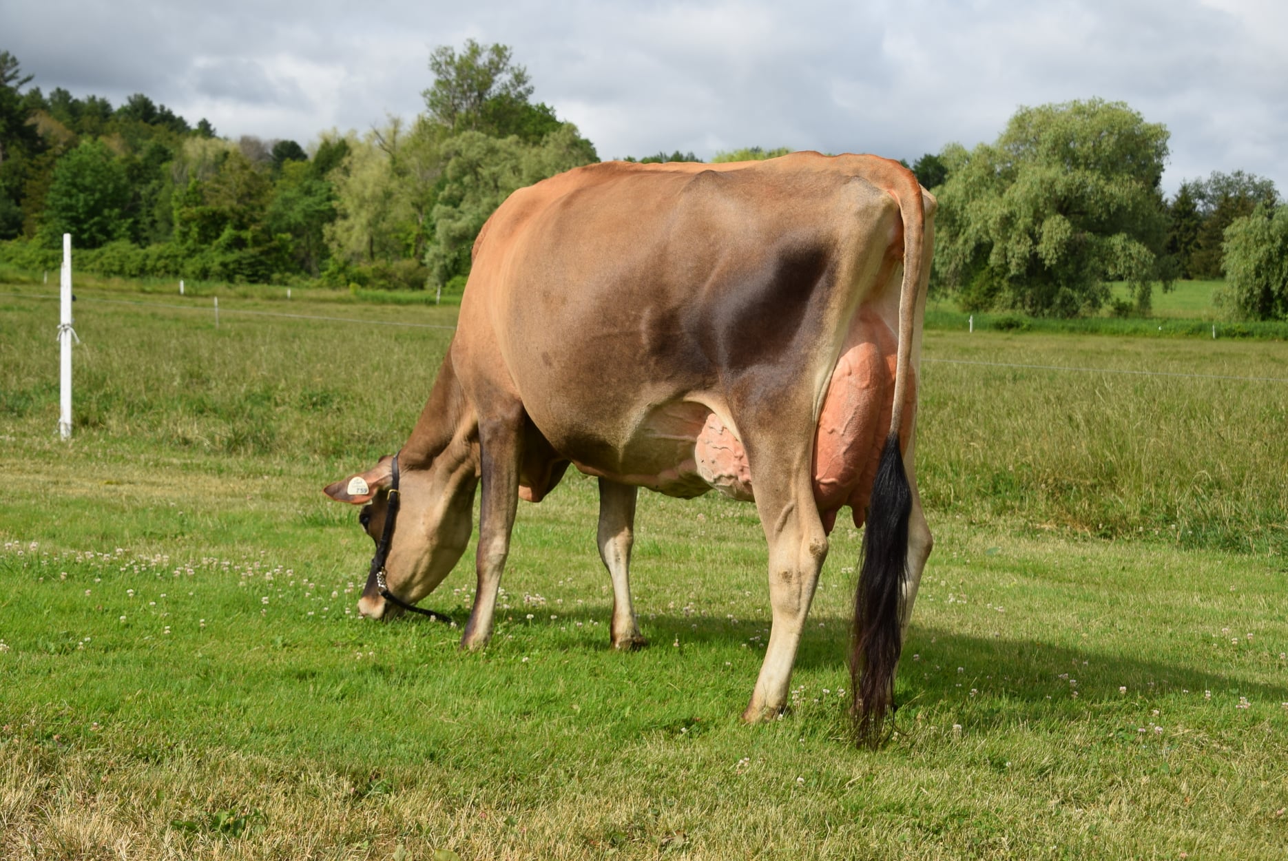 Lot 28: Avonlea Keeper At Burntwood VG-89