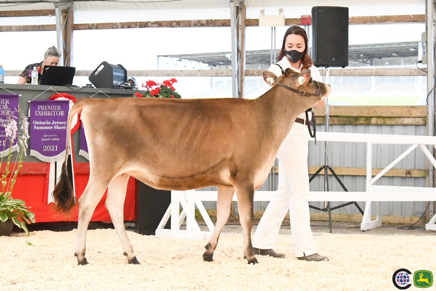 Ontario Summer Jersey Show 2023 - Cowsmo