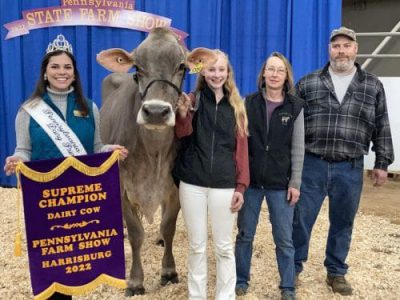 Brown Swiss Named Best Cow of the 106th Pennsylvania Farm Show Supreme ...