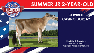 Junior Jersey Winners 2021 - Summer Jr 2