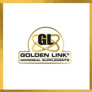 GoldenLink300x300