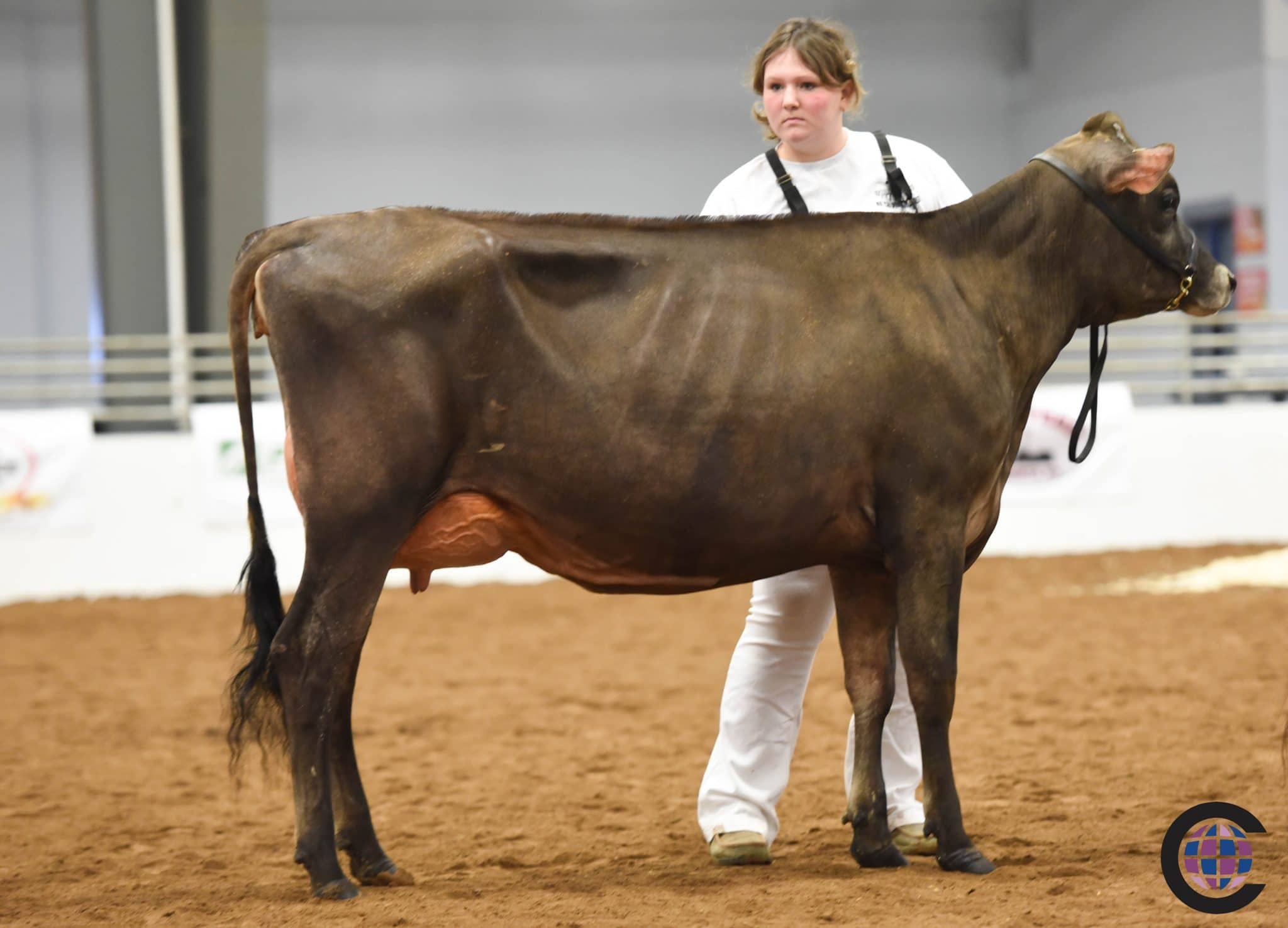 New York Spring Junior Jersey Show 2023 - Cowsmo